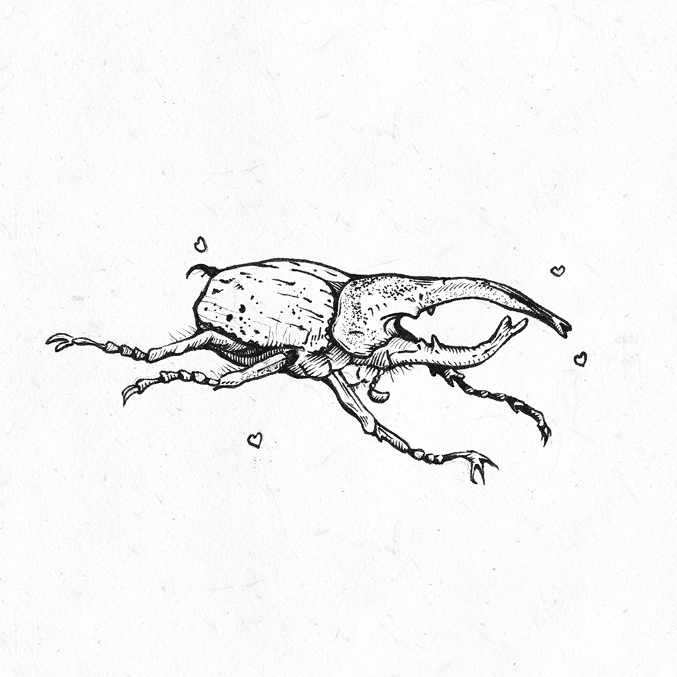 Beetle, the type of bug.