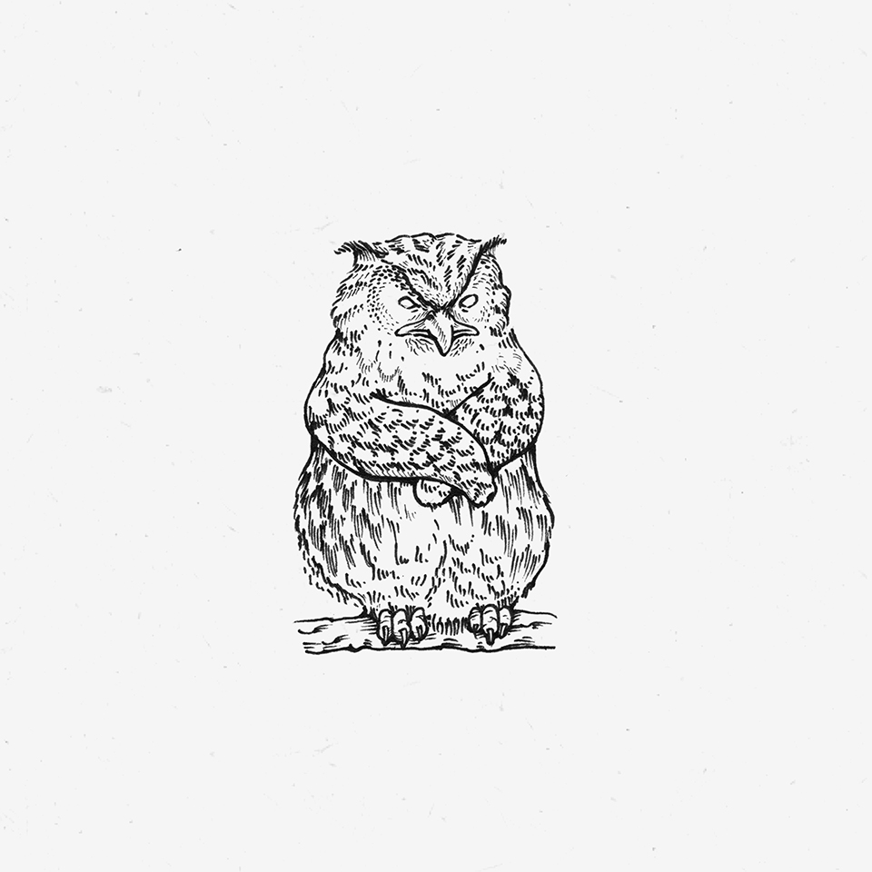 Illustration of a grumpy owl.