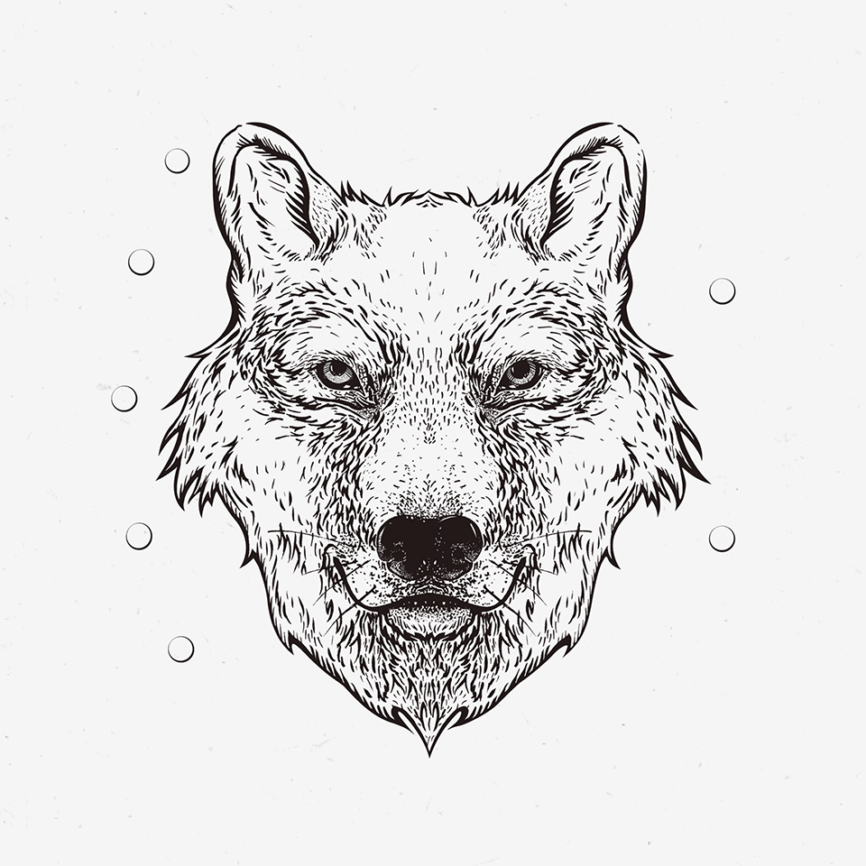Illustration of a wolf.